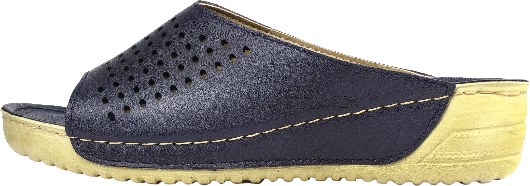 خرید دمپایی طبی خارپاشنه زنانه خزر مدل 02-172